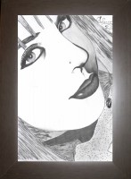 Desenho à Lápis com moldura.